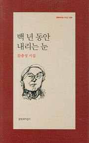 백 년 동안 내리는 눈(문학과지성 시인선 328)