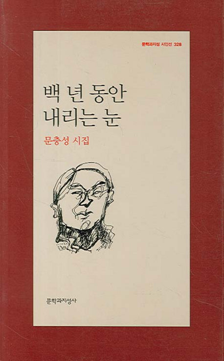 백 년 동안 내리는 눈(문학과지성 시인선 328)