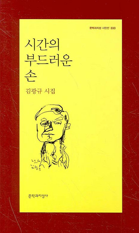 시간의 부드러운 손(문학과지성 시인선 333)