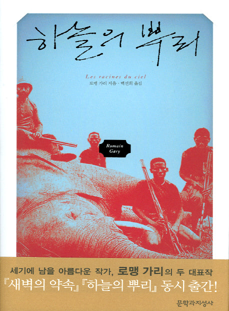 하늘의 뿌리(양장본 Hardcover)