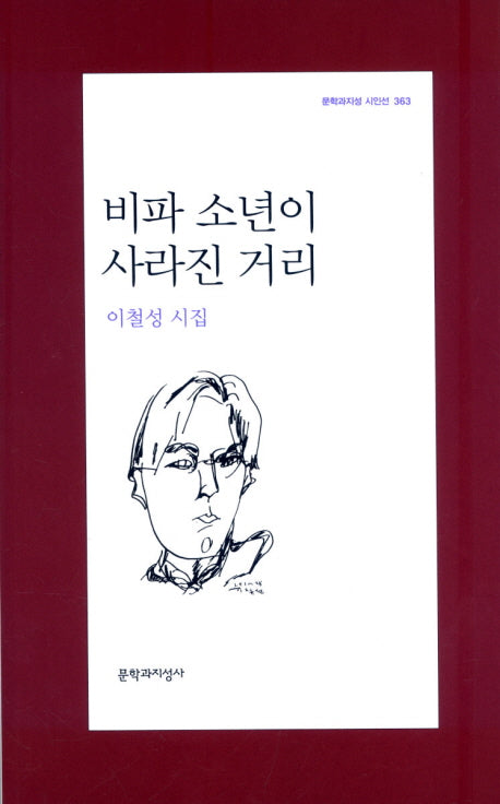 비파 소년이 사라진 거리(문학과지성 시인선 363)