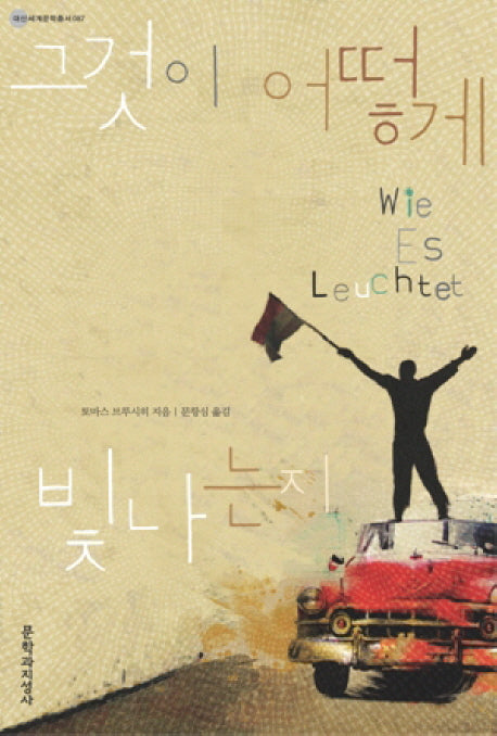 그것이 어떻게 빛나는지(대산세계문학총서 87)