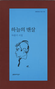 하늘의 맨살(문학과지성 시인선 376)