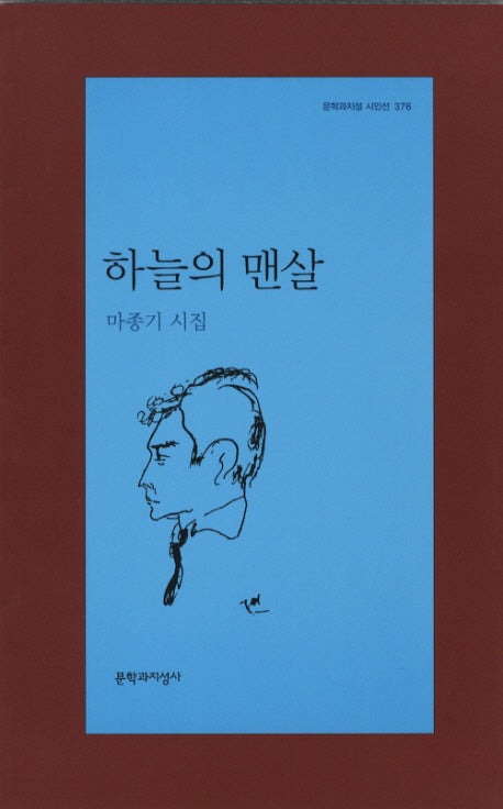 하늘의 맨살(문학과지성 시인선 376)