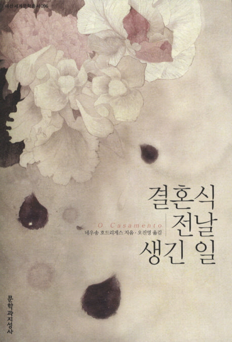결혼식 전날 생긴 일(대산세계문학총서 96)