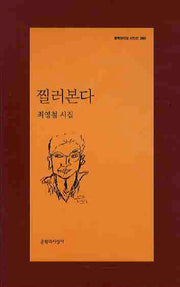 찔러본다(문학과지성 시인선 380)