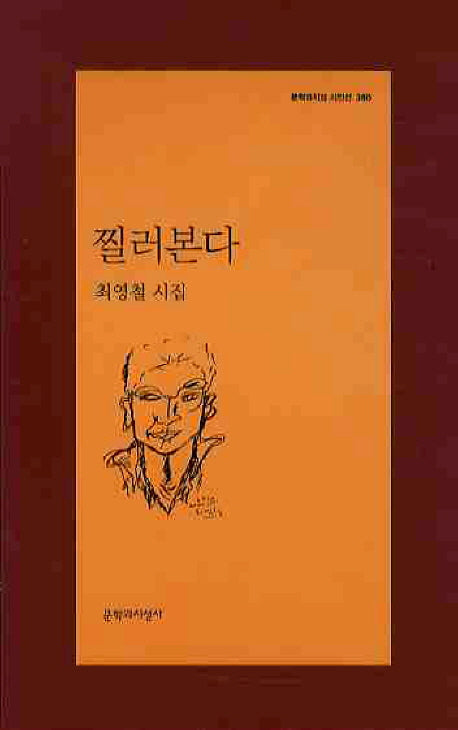 찔러본다(문학과지성 시인선 380)