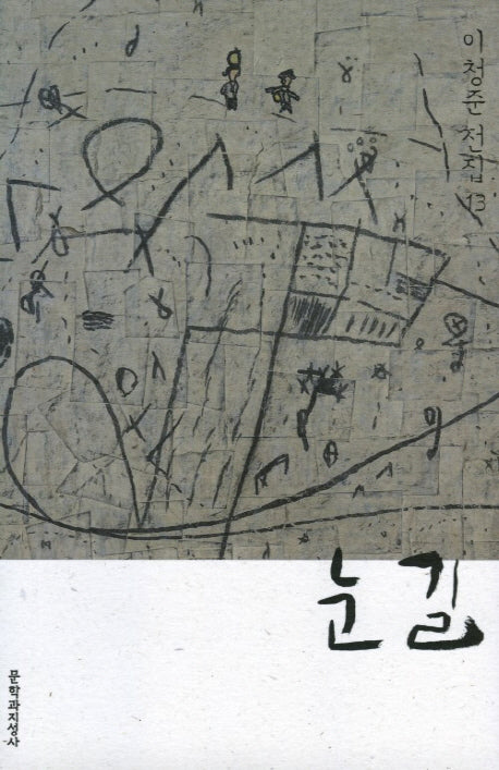 눈길(이청준 전집 13)(반양장)