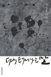 다시 태어나는 말(이청준 전집 16)