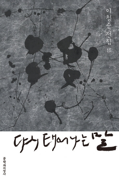 다시 태어나는 말(이청준 전집 16)