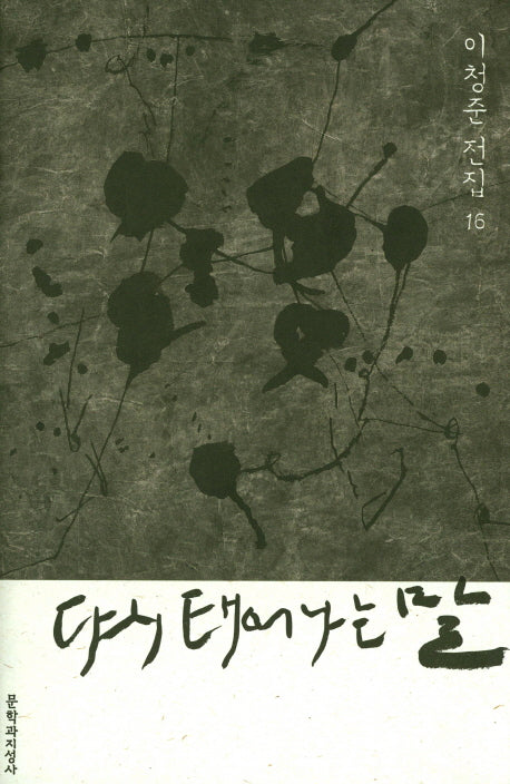 다시 태어나는 말(이청준 전집 16)(양장본 Hardcover)