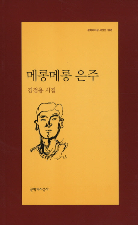 메롱메롱 은주(문학과지성 시인선 383)