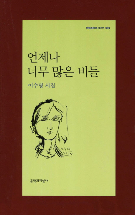 언제나 너무 많은 비들(문학과지성 시인선 399)
