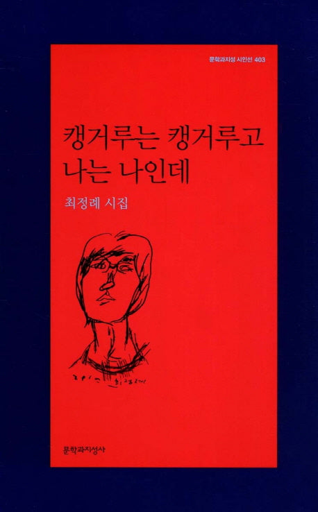 캥거루는 캥거루고 나는 나인데(문학과지성 시인선 403)