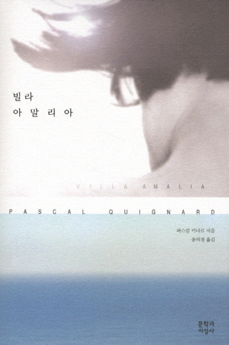 빌라 아말리아(양장본 Hardcover)