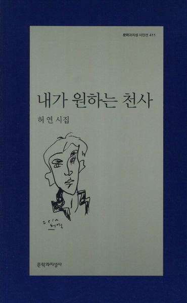내가 원하는 천사(문학과지성 시인선 411)