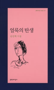 얼룩의 탄생(문학과지성 시인선 414)