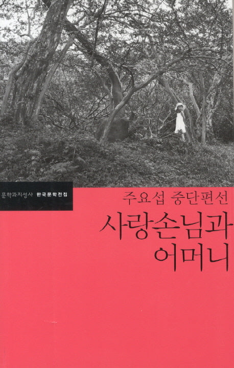 사랑손님과 어머니(한국문학전집 41)