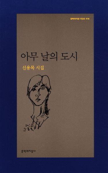아무 날의 도시(문학과지성 시인선 416)