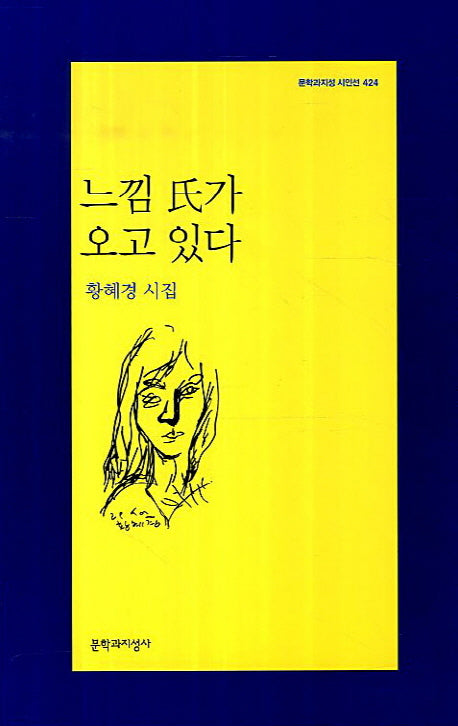느낌 씨가 오고 있다(문학과지성 시인선 424)