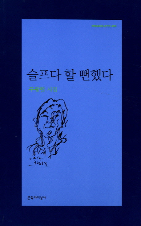 슬프다 할 뻔했다(문학과지성 시인선 426)