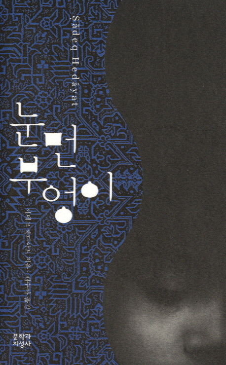 눈먼 부엉이(양장본 Hardcover)