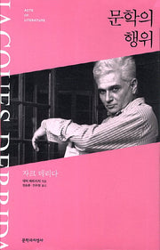 문학의 행위(현대의 문학 이론 45)