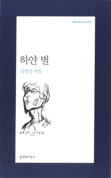 하얀 별(문학과지성 시인선 435)