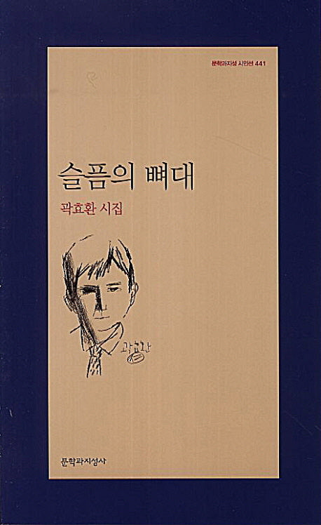 슬픔의 뼈대(문학과지성 시인선 441)
