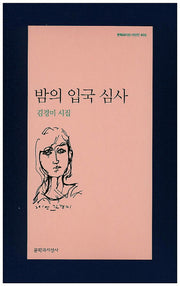 밤의 입국 심사(문학과지성 시인선 456)