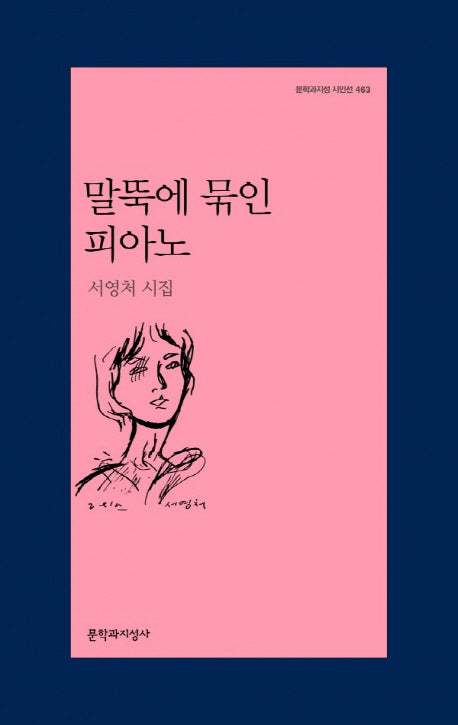 말뚝에 묶인 피아노(문학과지성 시인선 463)