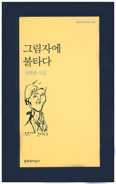 그림자에 불타다(문학과지성 시인선 466)