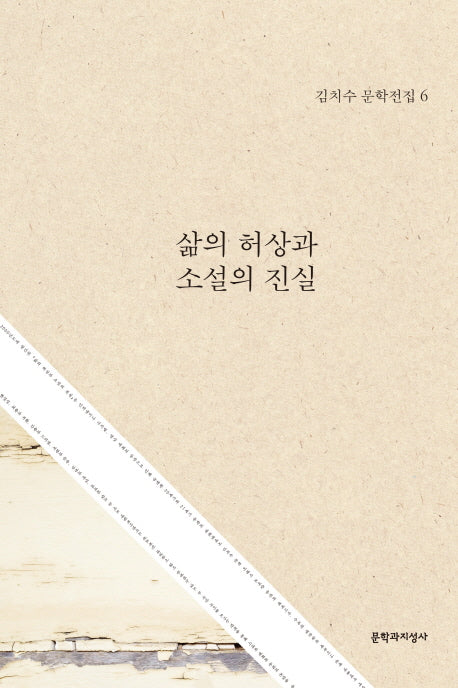 삶의 허상과 소설의 진실(김치수 문학전집 6)(양장본 HardCover)
