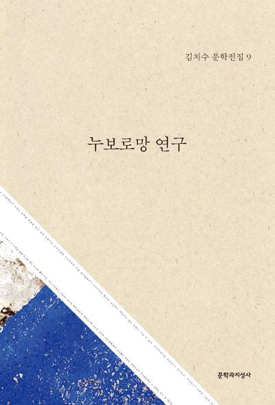 누보로망 연구(김치수 문학전집 9)(양장본 HardCover)