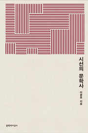 시선의 문학사