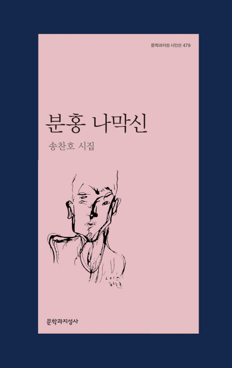 분홍 나막신(문학과지성 시인선 479)