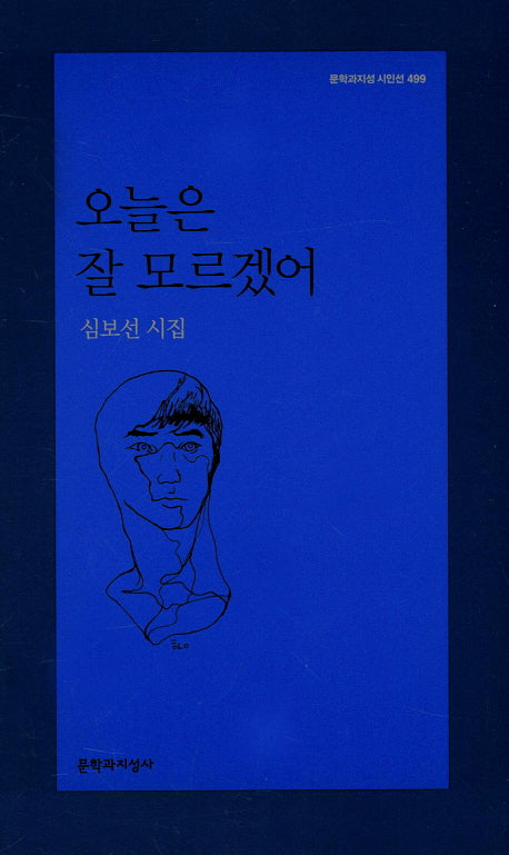 오늘은 잘 모르겠어(문학과지성 시인선 499)