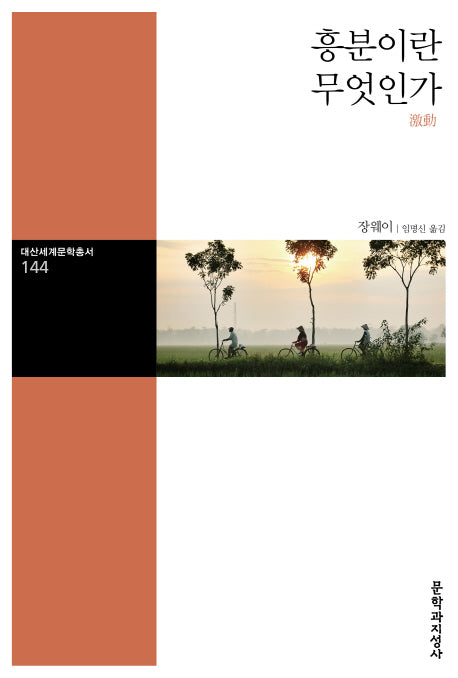 흥분이란 무엇인가(대산세계문학총서 144)