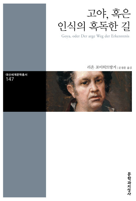 고야, 혹은 인식의 혹독한 길(대산세계문학총서 147)
