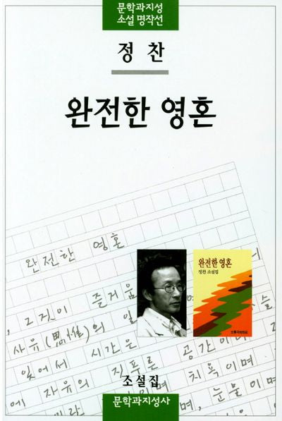 완전한 영혼(문학과지성 소설 명작선 29)