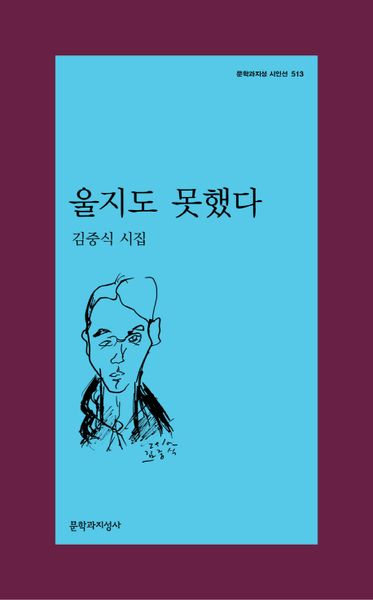 울지도 못했다(문학과지성 시인선 513)