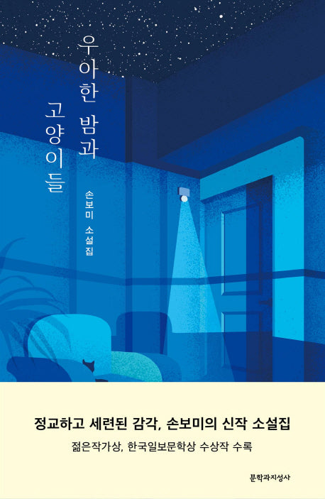 우아한 밤과 고양이들