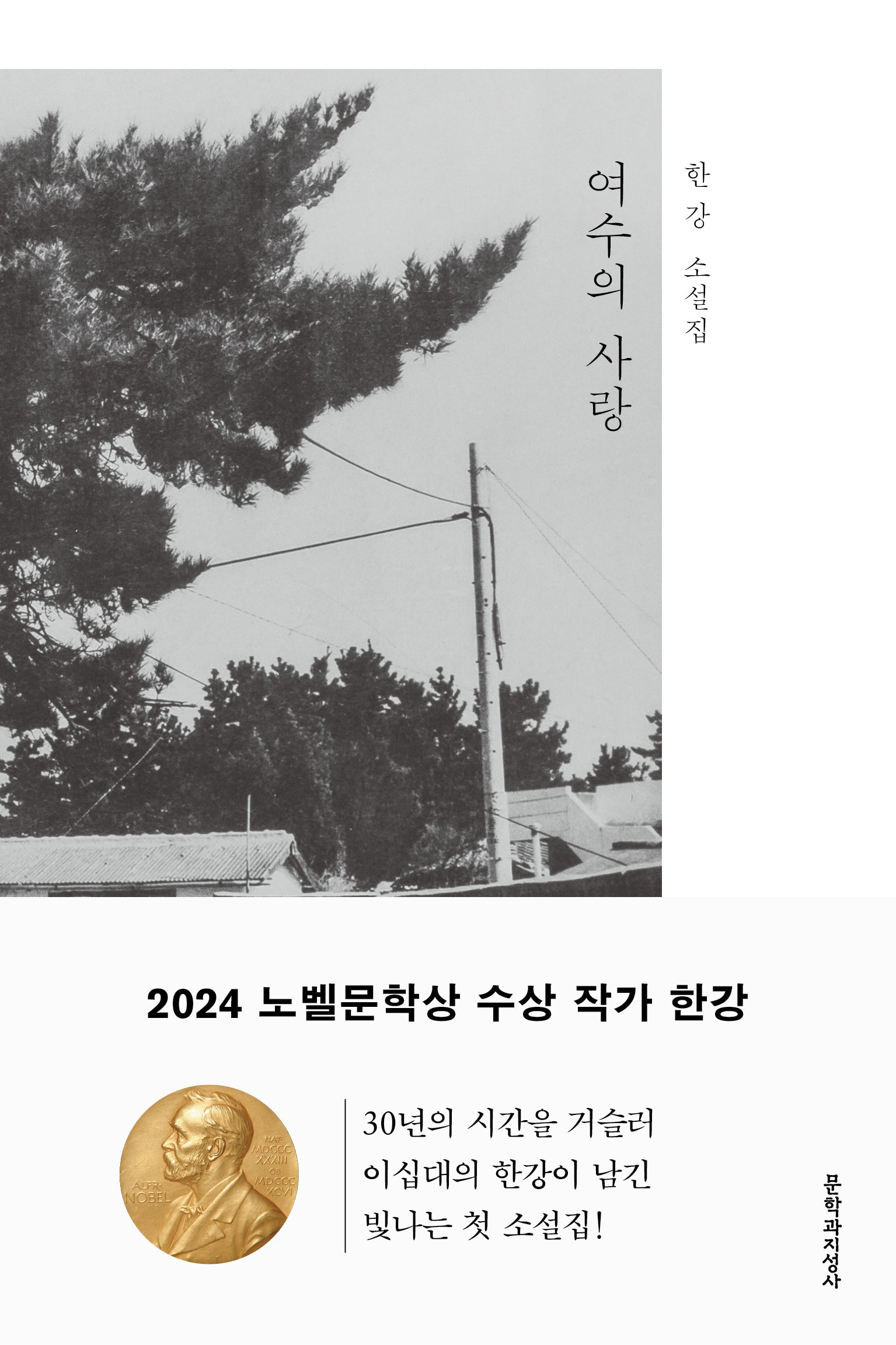 여수의 사랑