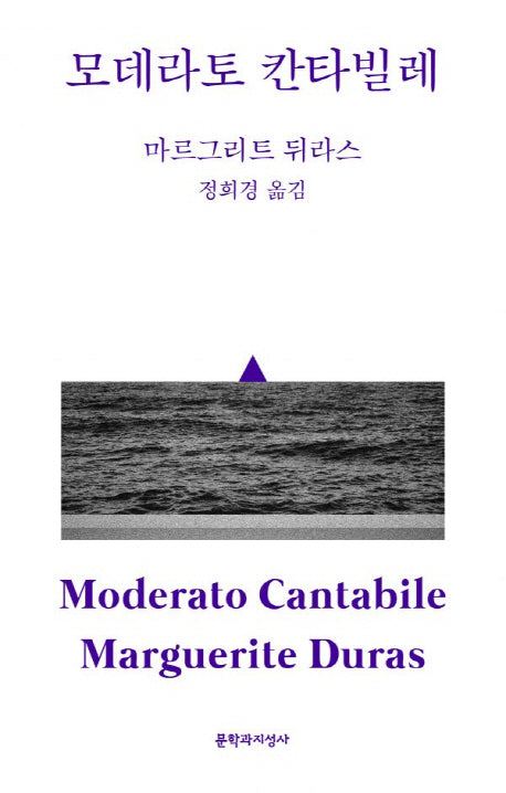 모데라토 칸타빌레(2판)(문지 스펙트럼)