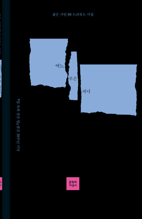어느 푸른 저녁(입 속의 검은 잎 발간 30주년 기념)(양장본 HardCover)