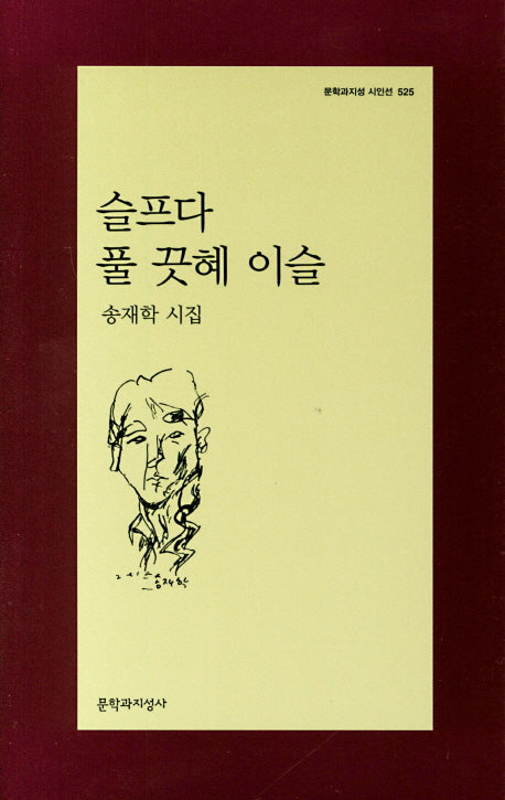 슬프다 풀 끗혜 이슬(문학과지성 시인선 525)
