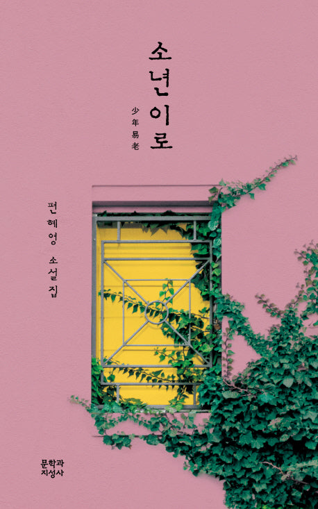 소년이로(반양장)