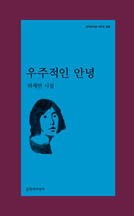 우주적인 안녕(문학과지성 시인선 528)
