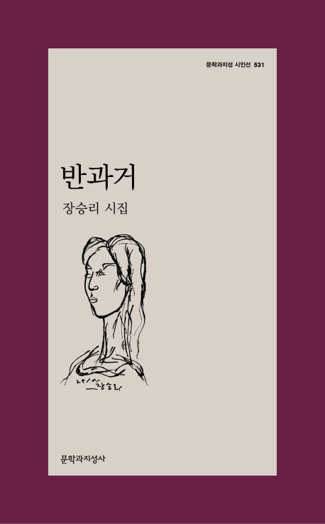 반과거(문학과지성 시인선 531)