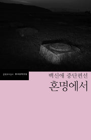 혼명에서(한국문학전집 46)
